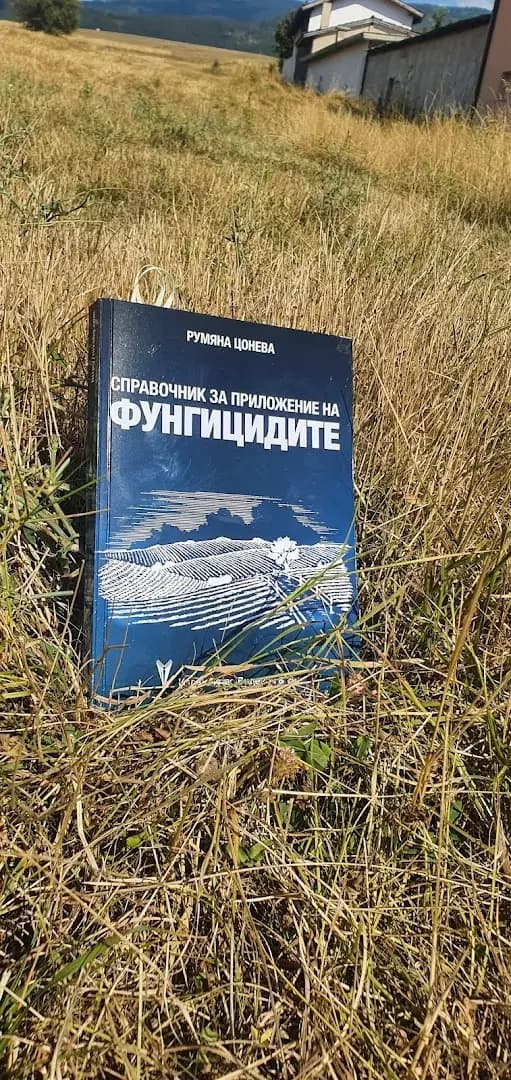 Издателство Виденов и син ЕООД