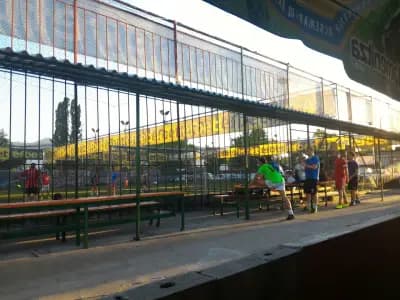 Грийн спорт