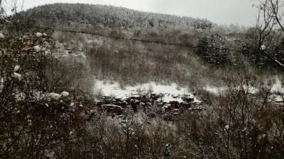 Гранд Своге