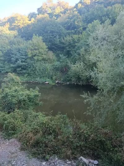 Гранд Своге