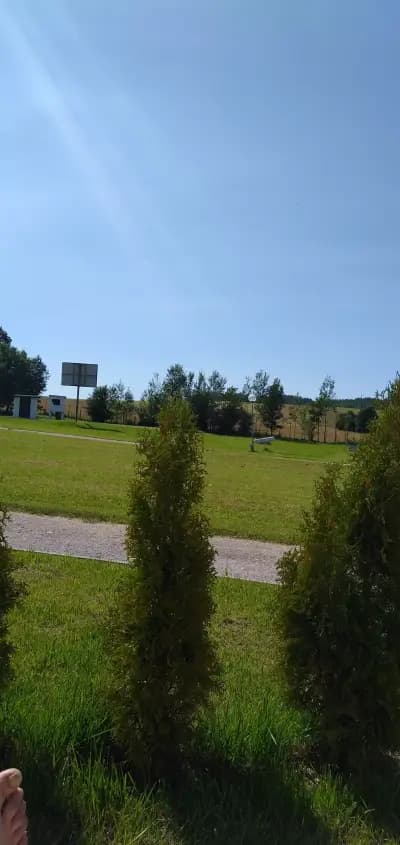 Комплекс Гергини