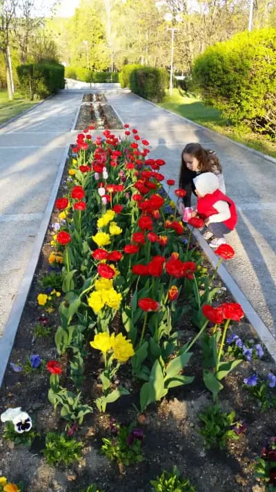 Минерална баня Стрелча и закрит плувен басейн