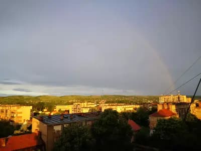 Застрахователен брокер Амарант България