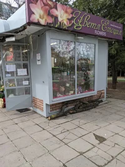 Цветя Емоция Черни връх
