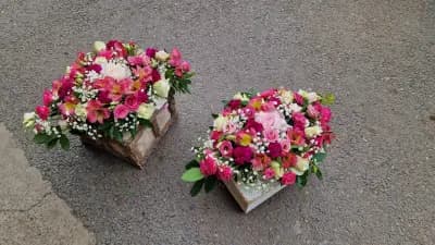 Цветя Емоция Черни връх