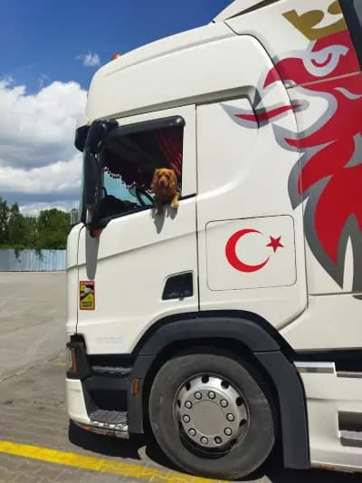 cargo-partner eood