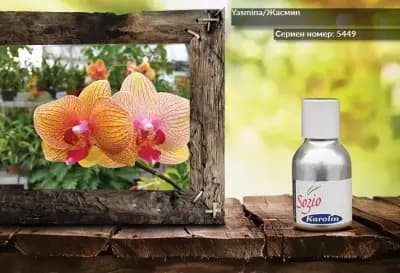 KAROLIN M LTD / КАРОЛИН М ЕООД