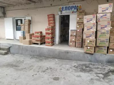 Елора