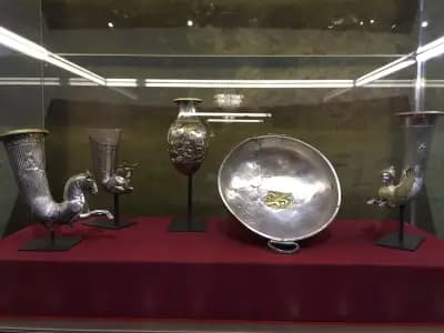 ЧДГ НЕМО-Бояна