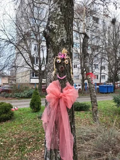 ДГ 61 „Шарено петле“