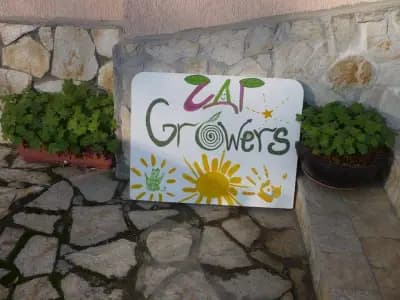 Частна детска градина и ясла "Растеж" / Growers Day Care