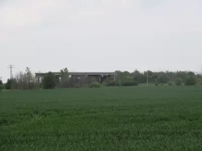 5 ЦДГ