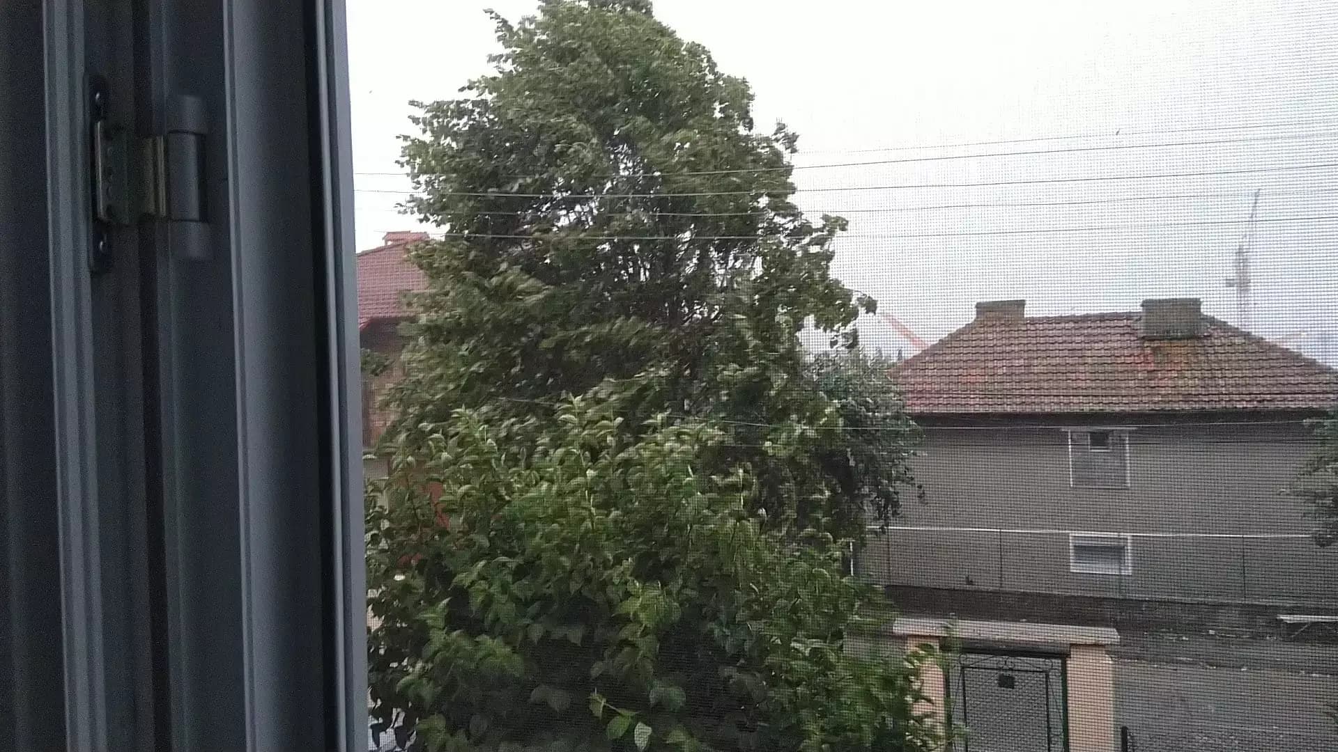 ЦЕЛОДНЕВНА ДЕТСКА ГРАДИНА ПРОЛЕТ (ЦДГ)