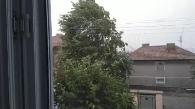 ЦЕЛОДНЕВНА ДЕТСКА ГРАДИНА ПРОЛЕТ (ЦДГ)
