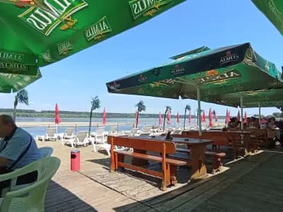 Чайка beach