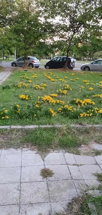 Евгения Братоева (547)
