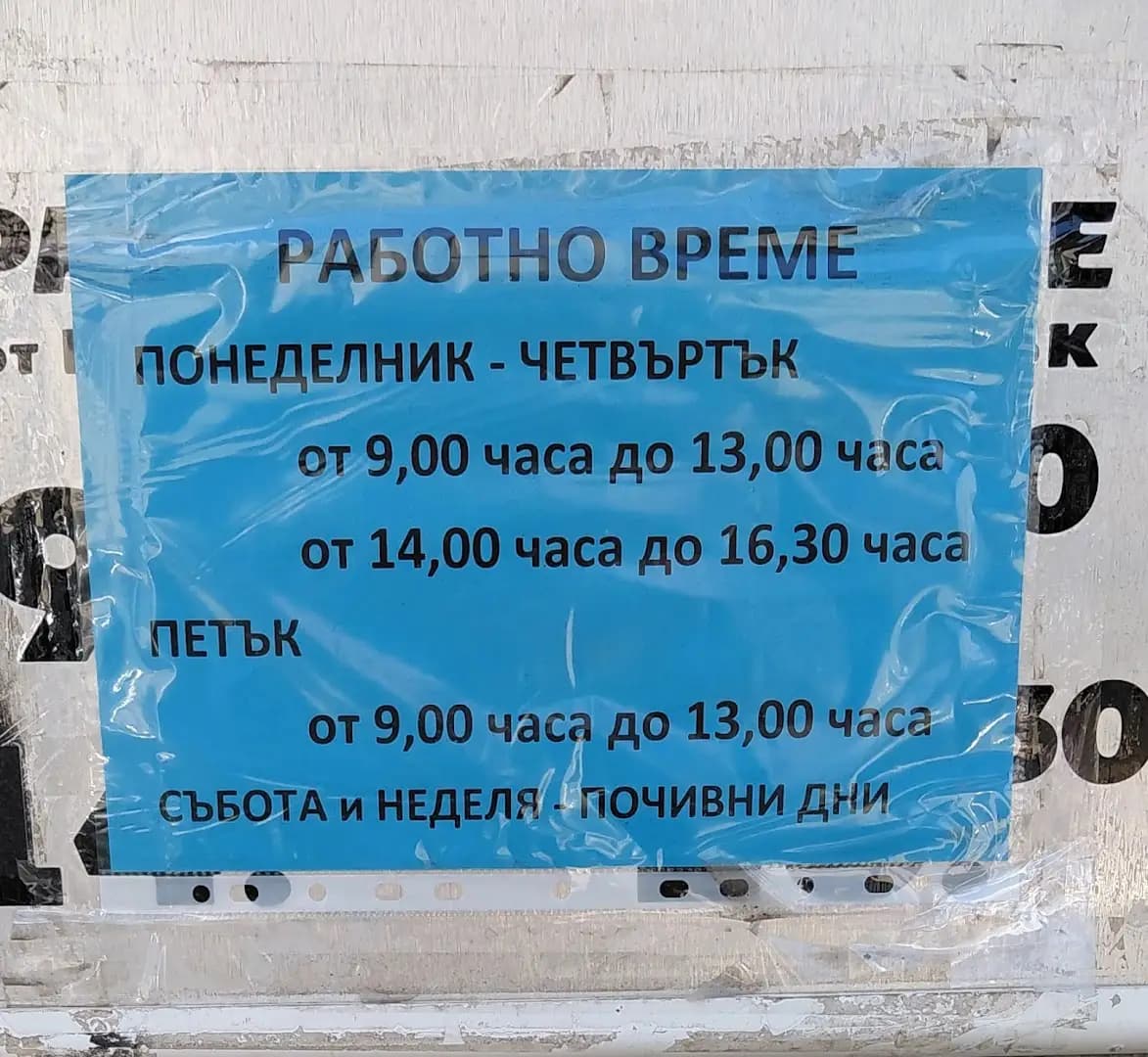 Румяна Радева-Ряпова (104)