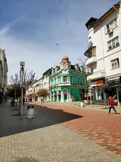 Александър Александров (316)