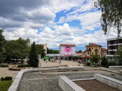 Терасист ООД