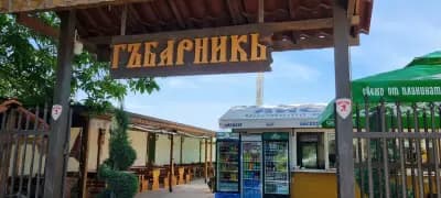 ГъбарникЪ