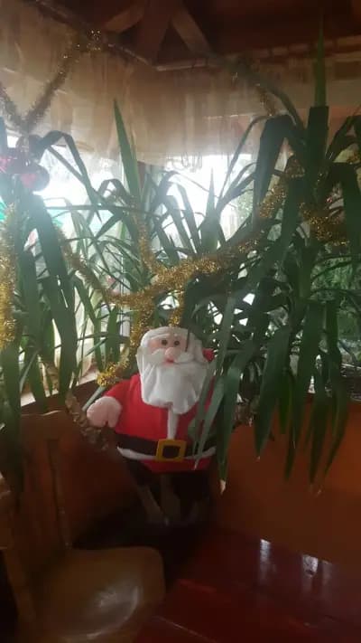 Парадайс