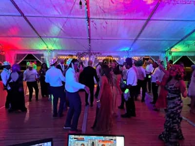 Dj Найден Найденов Дисководещ, Диджей за сватби, партита, осветление.