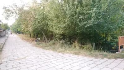 Основно училище „Отец Паисий“