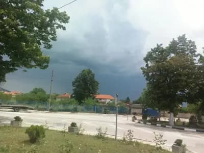ЦЕЛОДНЕВНА ДЕТСКА ГРАДИНА РОЗА (ЦДГ)