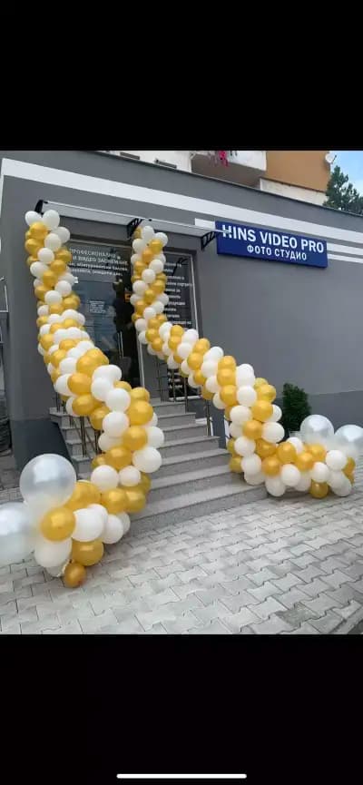 Hins Video Pro
