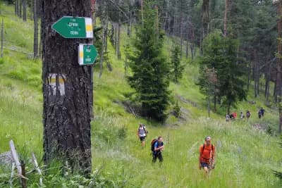 Лагер Беглика