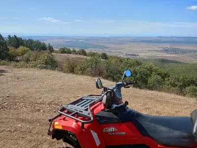 Quad Safari Kosharitsa