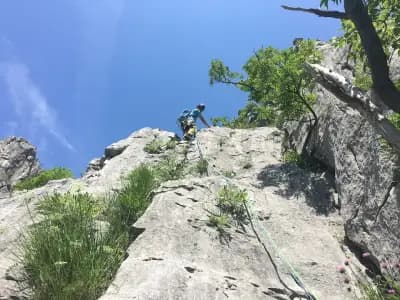 Split The Mountain