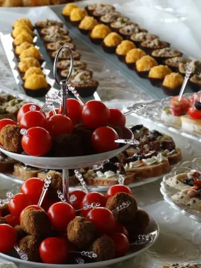 ВаниАрт Кетъринг/VaniArt catering