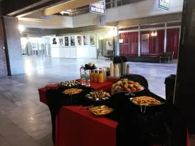 ВаниАрт Кетъринг/VaniArt catering