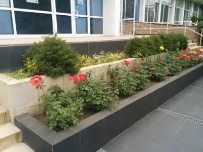 СВИЛОЦЕЛ