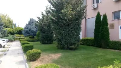 Панхим