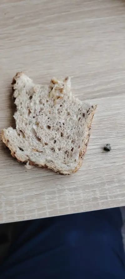 Симид София ООД