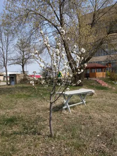 Елпром Хеви Индъстрис АД