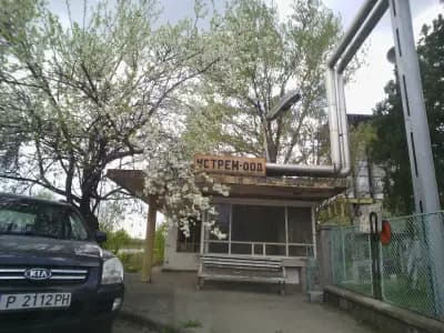 Устрем ООД
