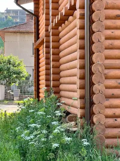 Wood House - Inspired by Nature (Офис)