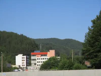 ЗММ Златоград