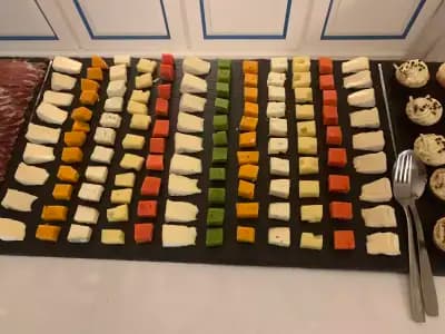 PRESLAVA CATERING