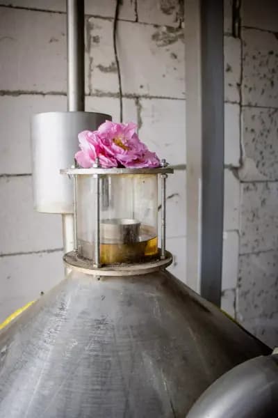 Srednogorska Roza Distillery
