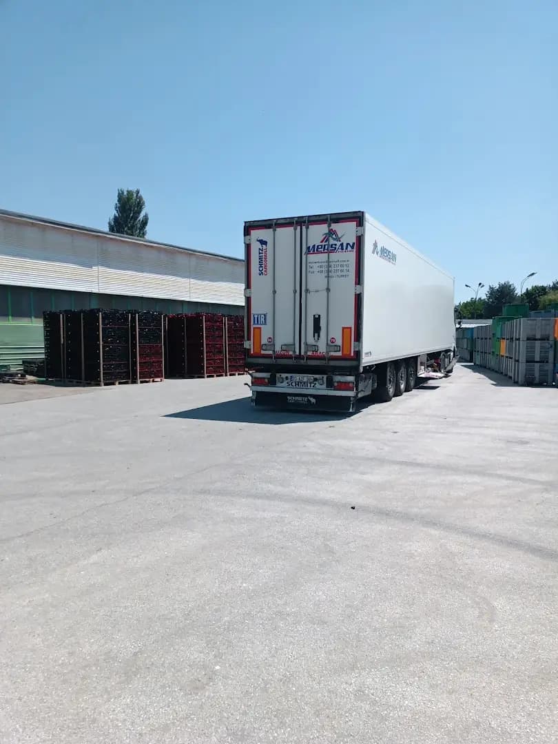 Peltina LTD