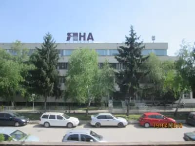 ЯНА