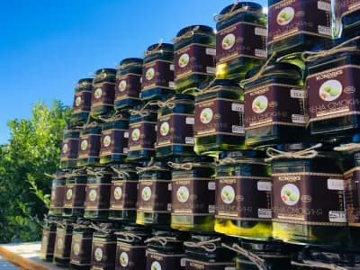 Фабрика за конфитюри Конпакс / Jam factory Konpaks