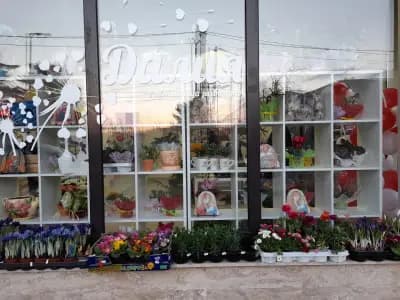 Работилница за желания Далия