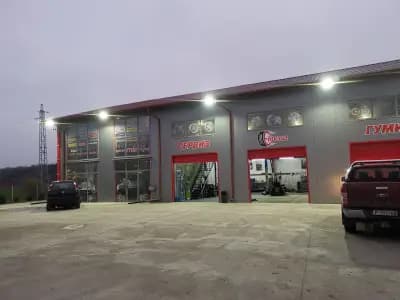Сервиз европа сливо поле