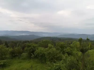 Доспатлес 2000 АД