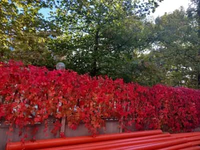 СТОДИ ООД Несебър Строителна борса